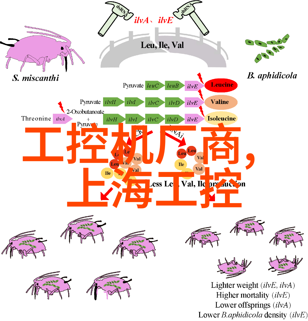 油水分离器的安装与维护指南