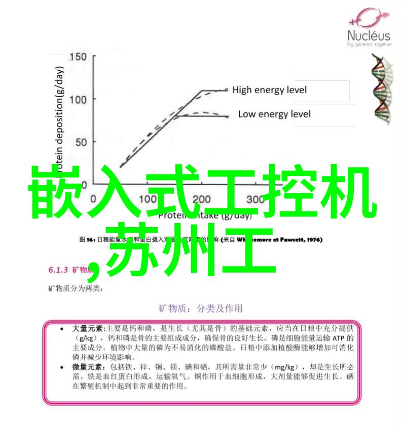 移动式泥石分离机拆解混乱的路面让我走得更安心