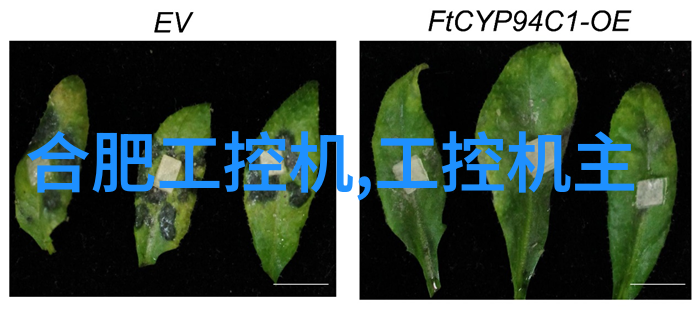 化工装置的设计原则是什么