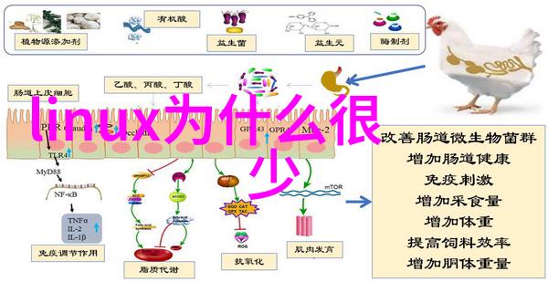 小天鹅水魔方我的梦想游泳池