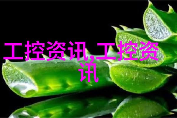 时尚与历史共存纪念照与日常生活中的古典元素