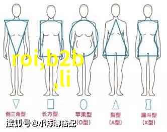 数字相机与DSLR相比哪个更适合初学者