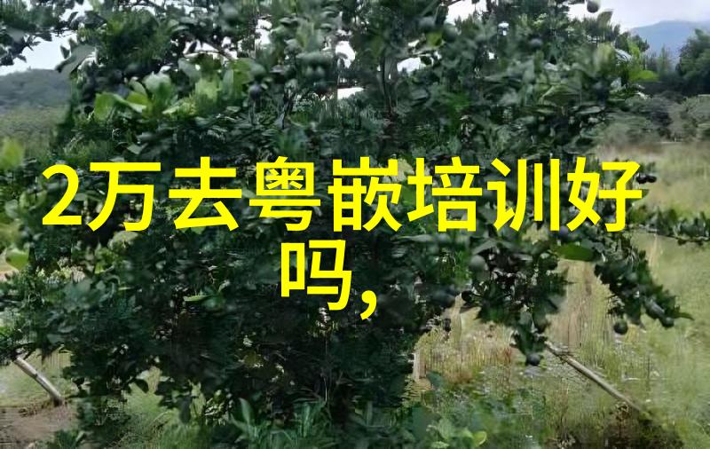 无需电器的温馨烹饪锡纸微波炉的创意用途与安全注意事项