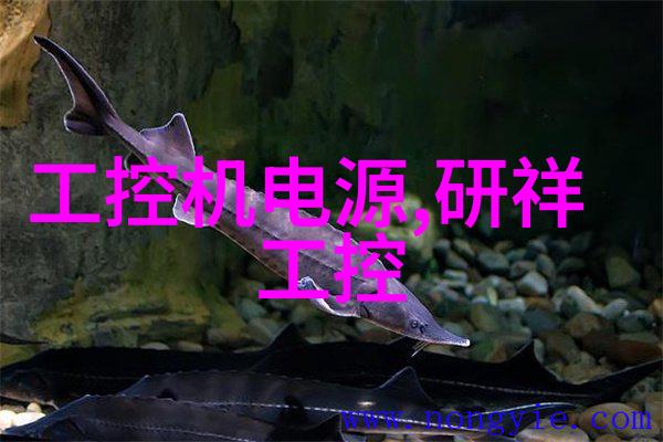 玛格南梦幻之城的魔力与魅力