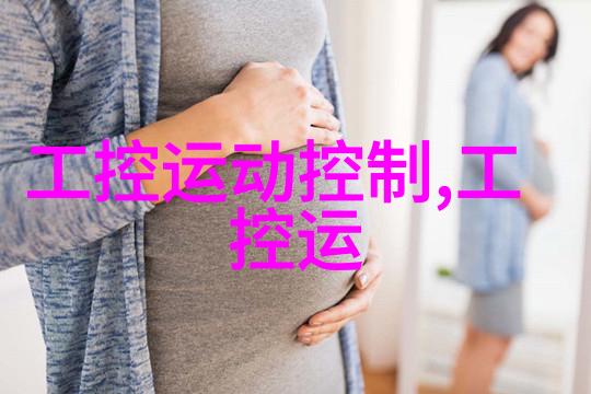 从设计理念上讲嵌入式系统更偏向于模仿生物体的复杂性而不是纯粹的数字逻辑是这两者都有吗