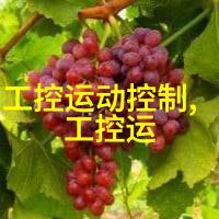 送老师送什么花给老师点什么好