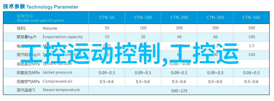 菊花代表什么探索其文化与象征意义