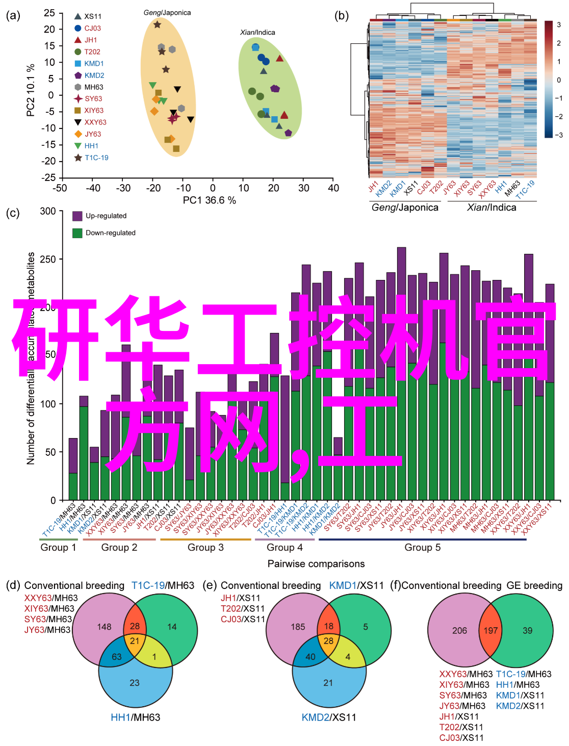 扫地机器人从小家电到清洁大侠的奇幻征程