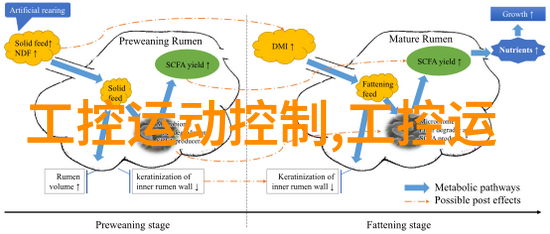 橡胶软管图片探索柔韧与强度的双重面貌