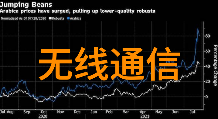 春日暖阳下的黄金花海探秘郁金香的花语与文化内涵