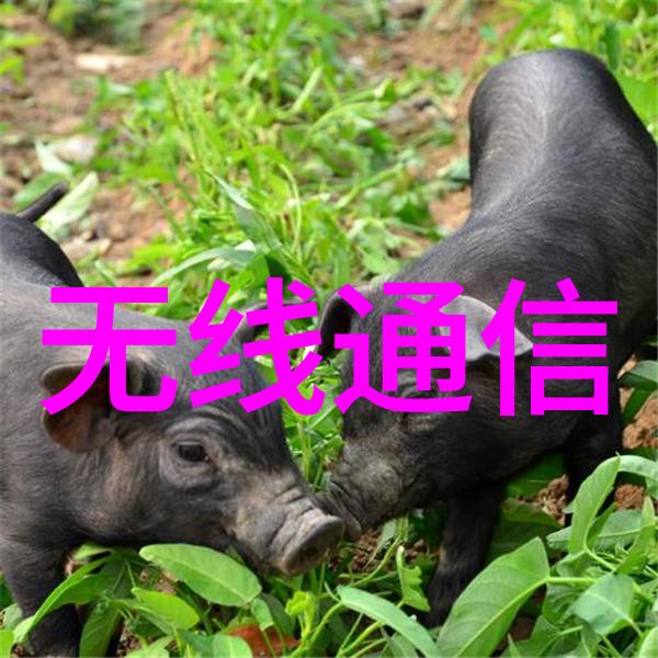 生物填料的种类活力纺织