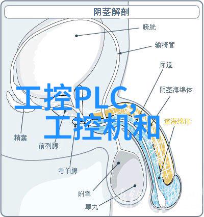 家居美学卧室装修效果图的艺术魅力探究