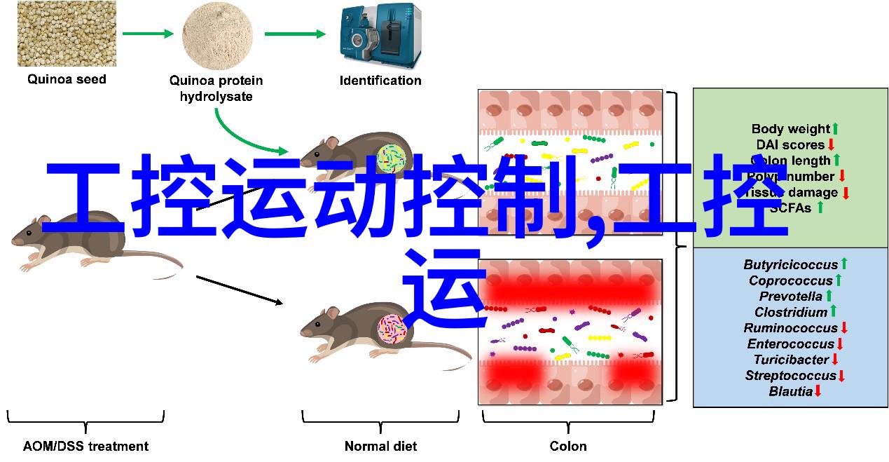 嵌入式开发是干嘛的-探索微控制器世界嵌入式系统设计与应用实例