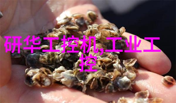 代码优化嵌入式开发软件的应用实例