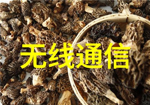 亲子健康日记如何正确选择和使用家用水质检测仪