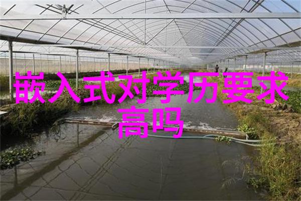 废旧回收的重要性与实践方法