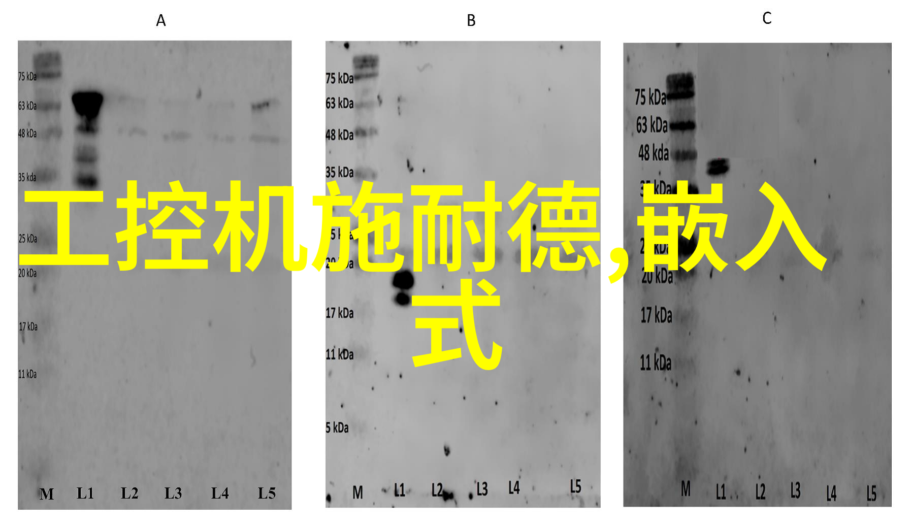 怎样通过小巧化设计提升简约风格的浴室空间感受