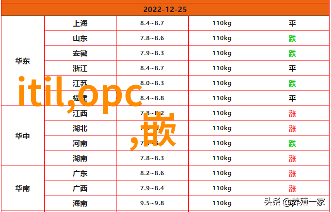 填料之用构建稳固的基石