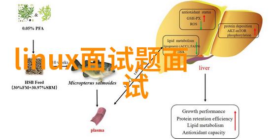 广州摄影基地网大全-广州之光探索最具代表性的摄影基地网大全