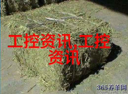 机器心脏的密码工控机编程之谜