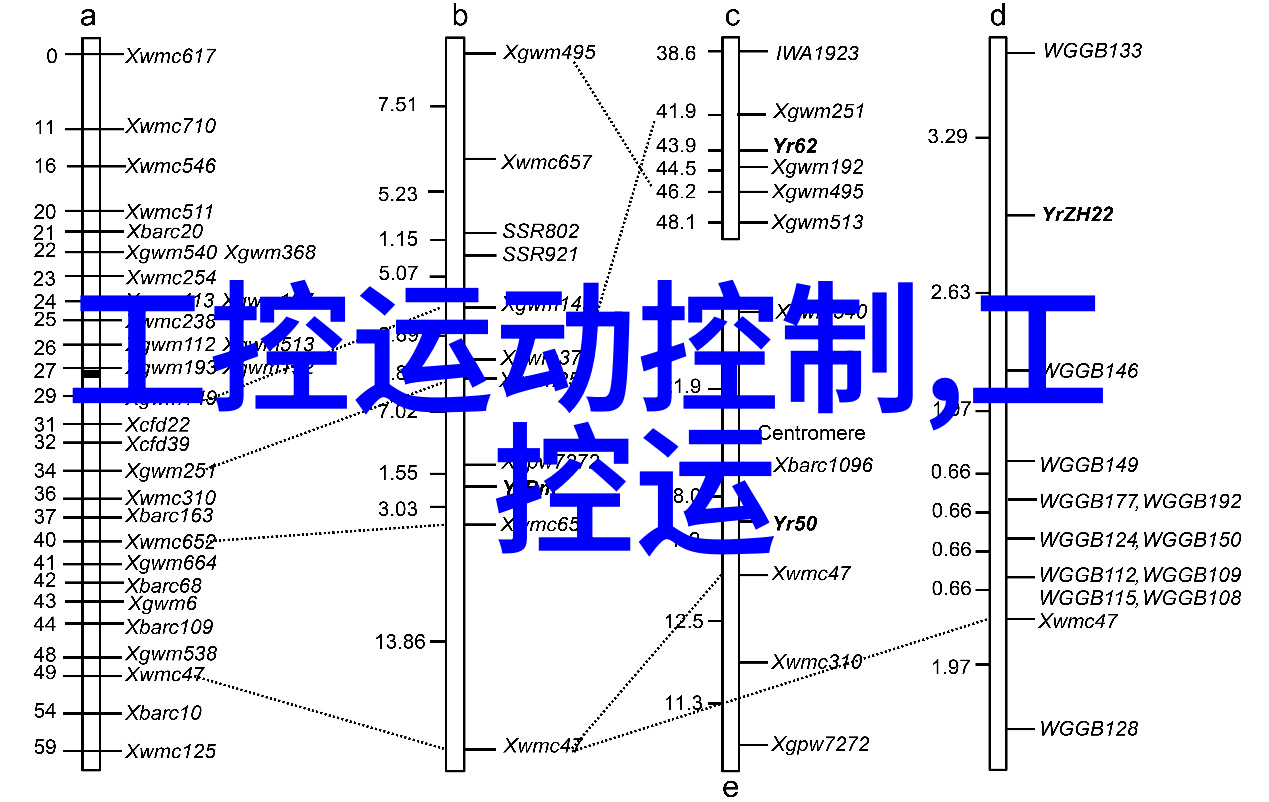 西南财经政法大学校园生活西南财经政法大学丰富多彩的校园文化