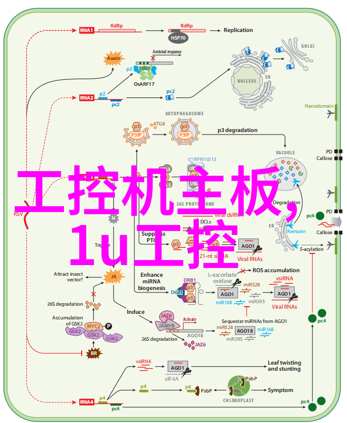 自动驾驶技术在交通智能网中的应用前景如何展望