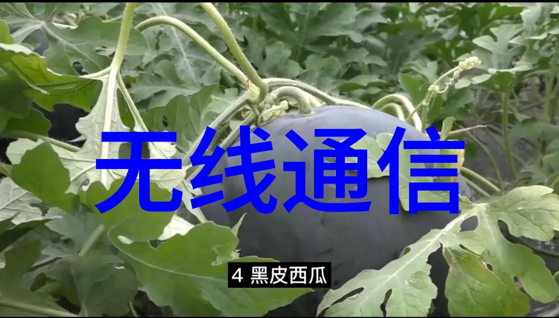 点亮希望之光华为如何利用人工智能提升2023年的芯片制造能力