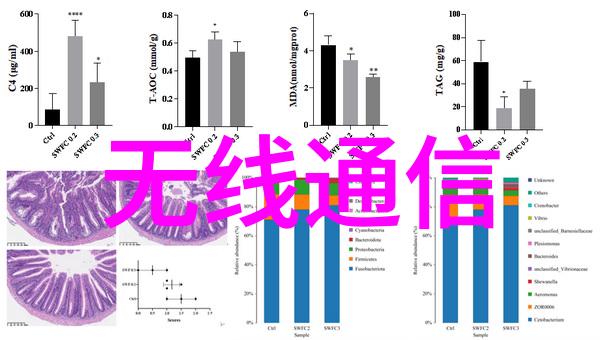 坤坤入坤男生逆袭女生世界的奇幻旅程