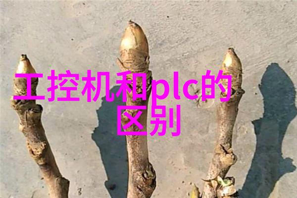 苹果秋季新品发布会革新与惊喜的交响篇章