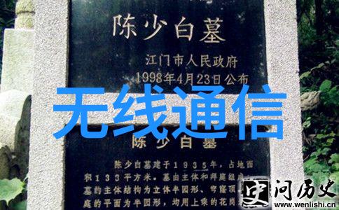 随着技术发展嵌入式硬件会逐渐被软件替代吗