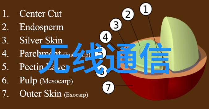 夏日晴空下的文学盛宴全集解读与探索