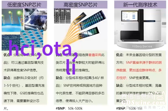 年轻的朋友3追逐梦想的完整视频之旅