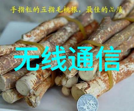 在正阳门的下方开局便是干掉了苏萌