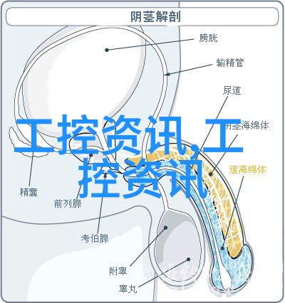 中国摄影大赛捕捉国风美学的最佳镜头