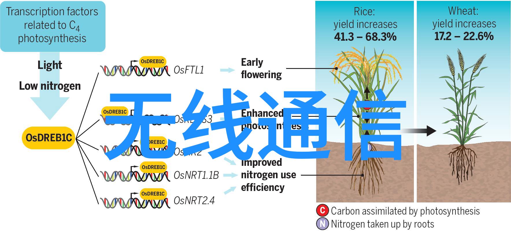 未来交通新篇章人工智能革新引领城市出行