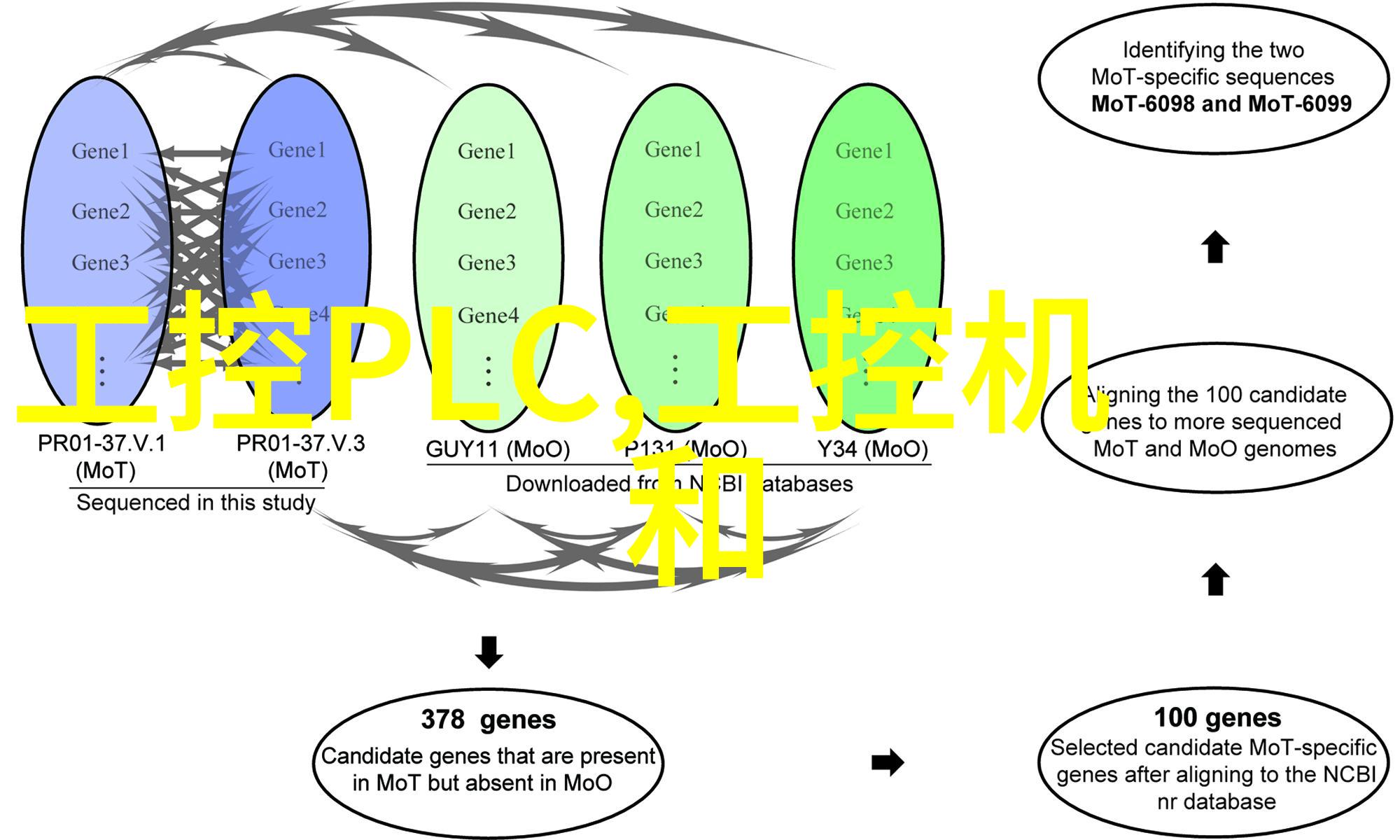 工控机电源管理系统确保工业控制设备稳定运行的关键