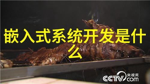 不锈钢矩鞍环填料标准的制定背景与意义