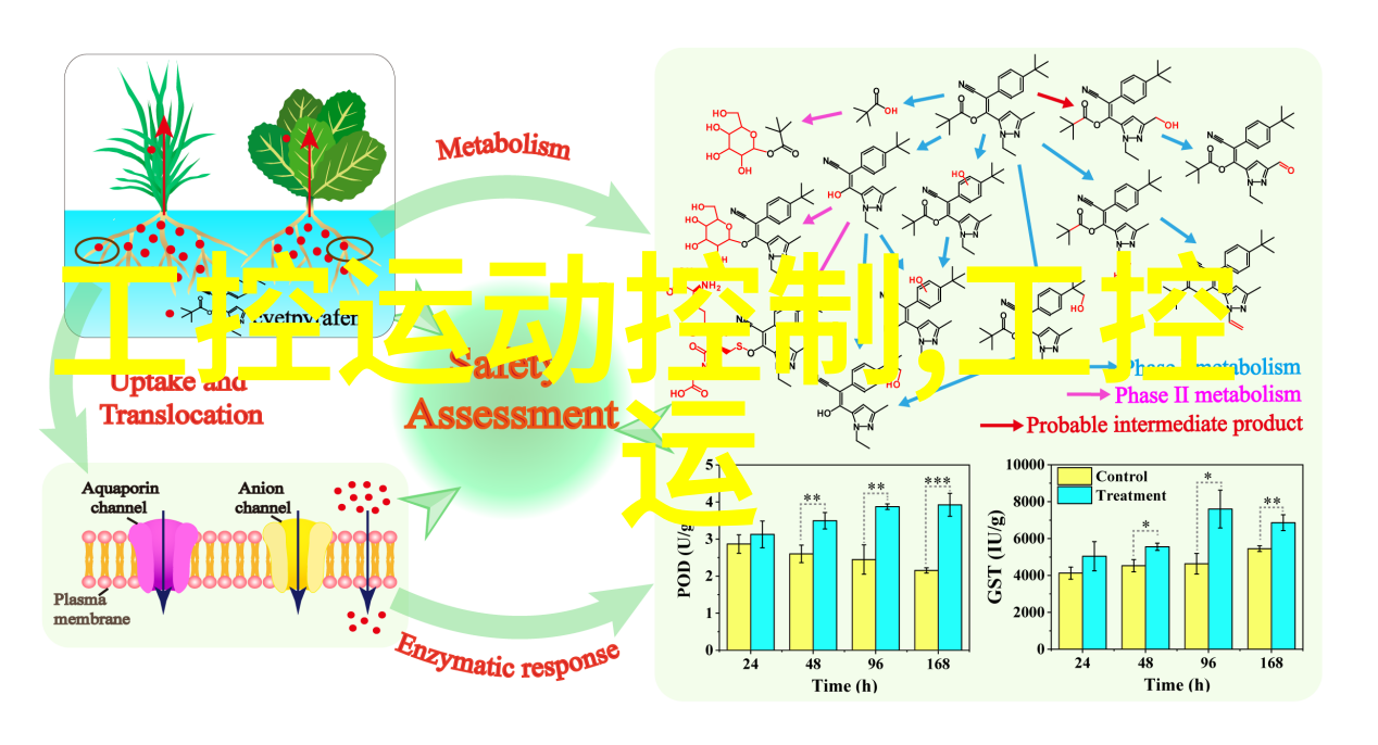 蒲公英的花语背后隐藏着什么秘密