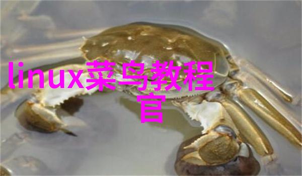 预备费我为何总忘记了那笔不小的保险金