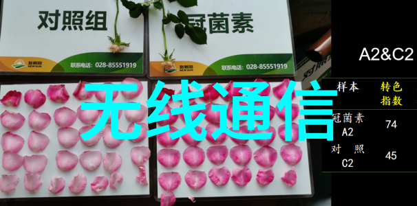 PVDF规整填料在食品工业中的安全使用指南