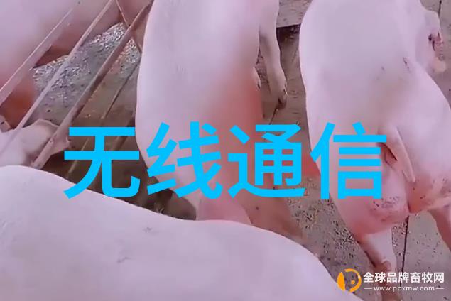 钢管规格型号尺寸大全-详尽指南选择合适的钢管规格型号与尺寸