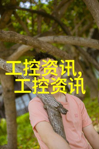 嵌入式培养优缺点-嵌入式教育模式的双刃剑深度探究其在学术成就与社会适应性中的作用