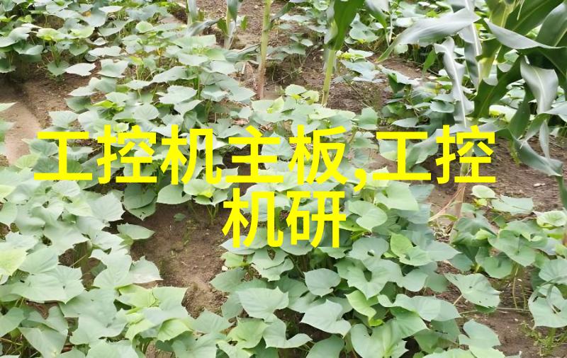 无忌冒险探索未知的边界