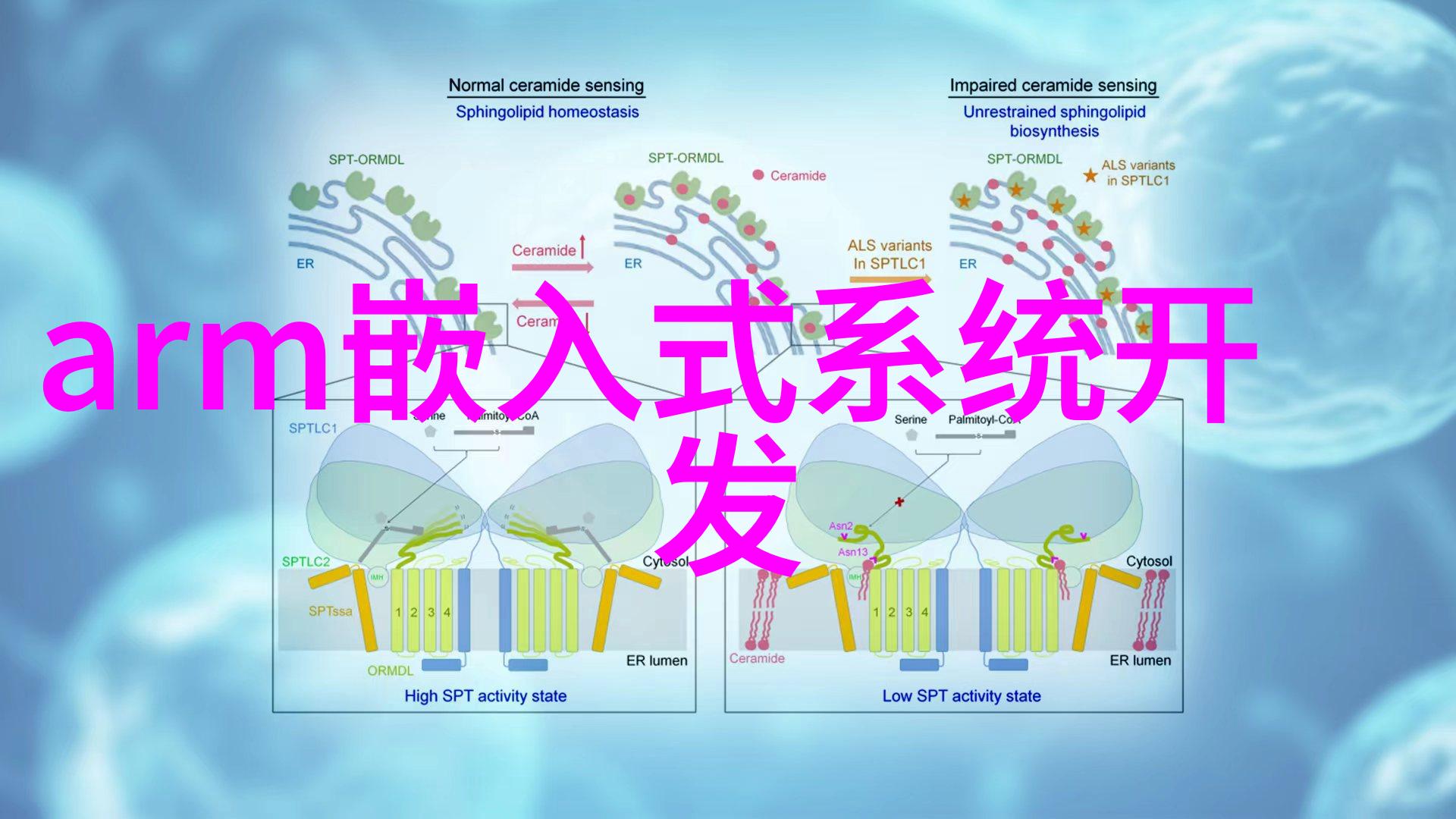 快速浏览技巧CAD中如何高效查看设计文件