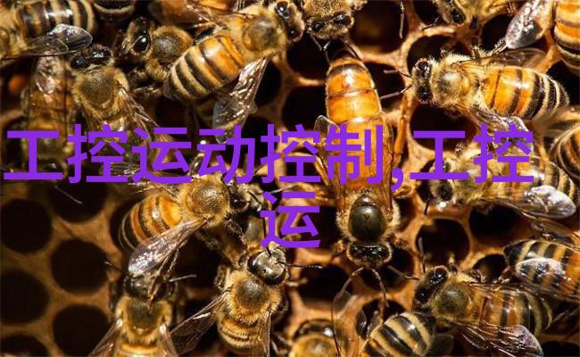 嵌入式开发培训班-深入探索掌握微控制器编程的实用指南