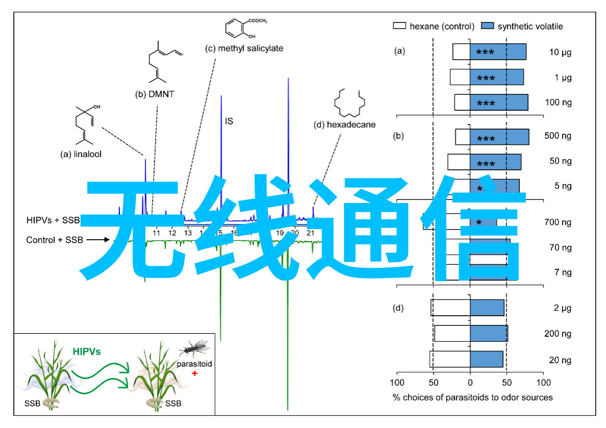 从无到有开设小加工厂所需的关键步骤是什么