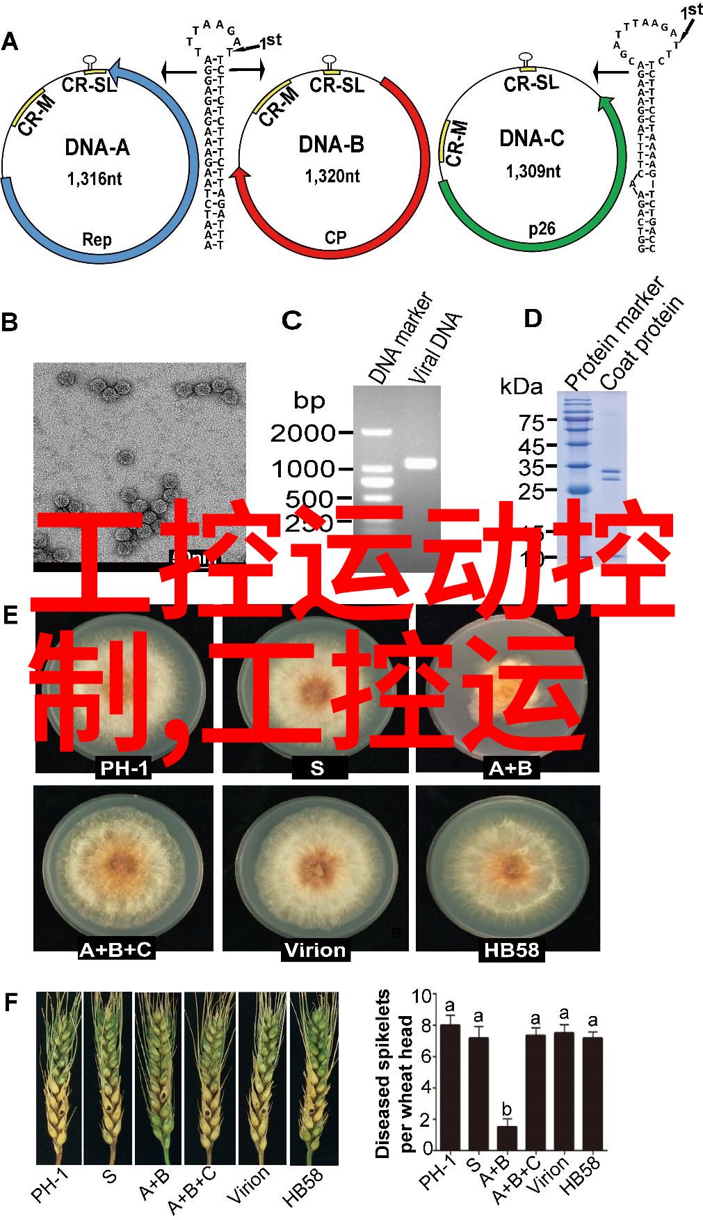 动物实验室设备-完备的设施探索动物实验室设备的多样性与重要性