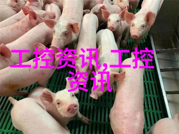 安卓应用宝库探索官方版的无限可能