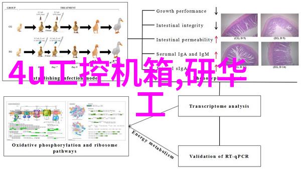 控创工控机我的工业智能小伙伴