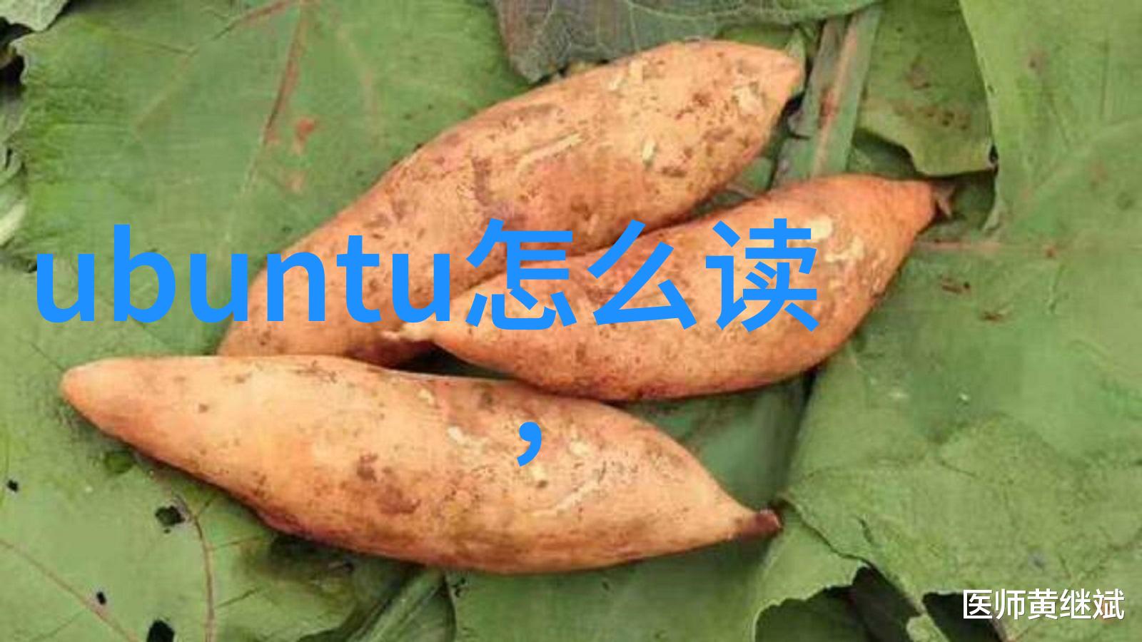 数字密码与秘密世界揭开xxx228背后的神秘面纱